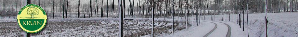 3 Beken in de sneeuw