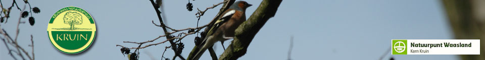 vink